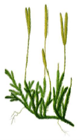 biology-demo-2023-10
